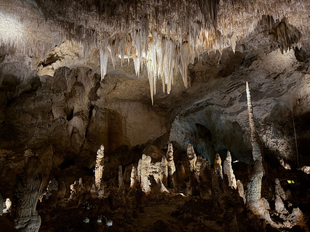 King's Palace-卡尔斯巴德洞穴国家公园必去景点