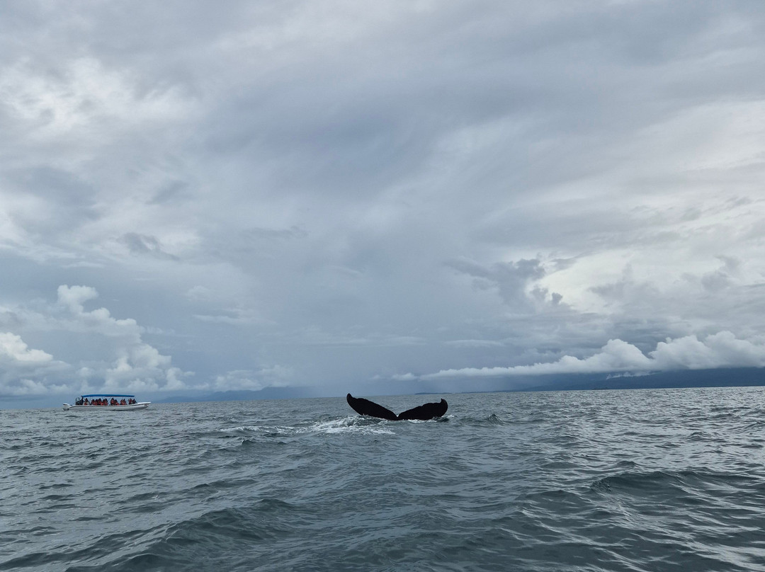 Aventura Uno-彭塔雷纳斯必去景点