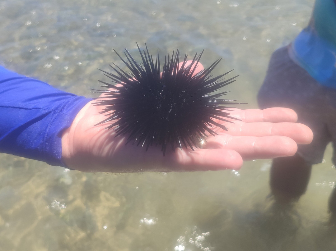 Pousada Charme Francês主图