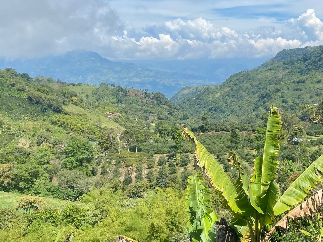Ecoturismo La Nohelia-Jerico必去景点