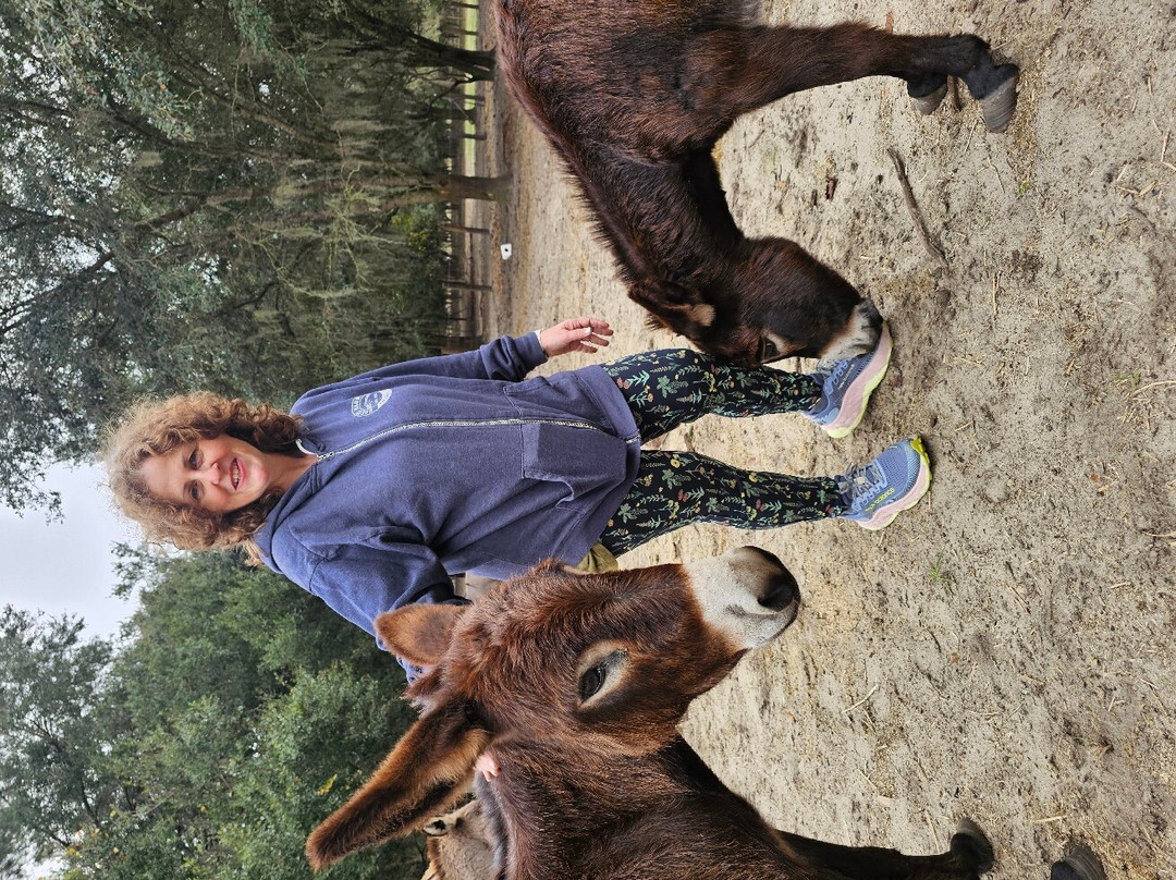 Whispering Oaks Miniature Ranch-Clermont必去景点