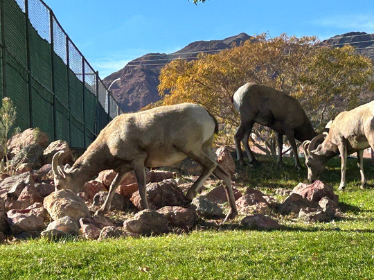 Hemenway Park-博尔德城必去景点