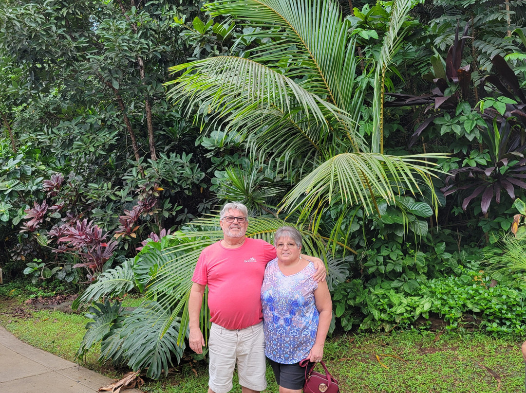 Hawaiian Organic Noni-基拉韦厄必去景点