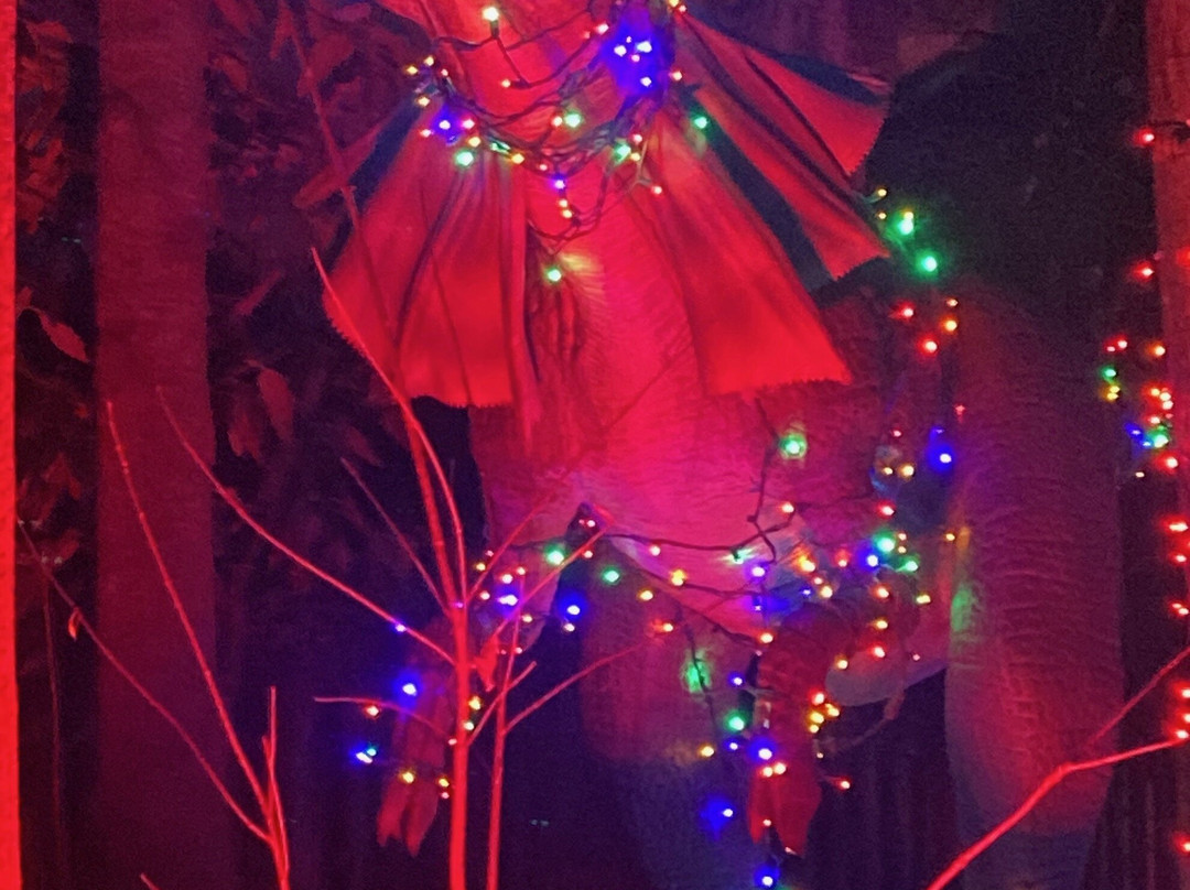 哥伦布动物园-Powell必去景点