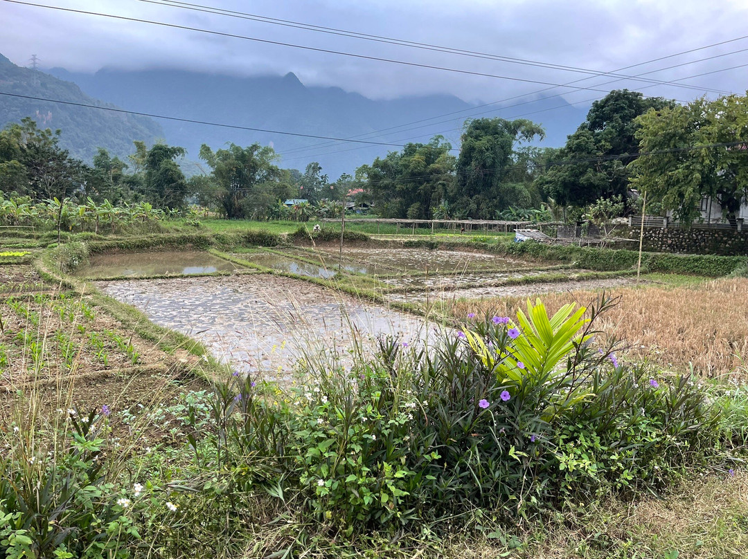 Meadow Mai Chau Homestay