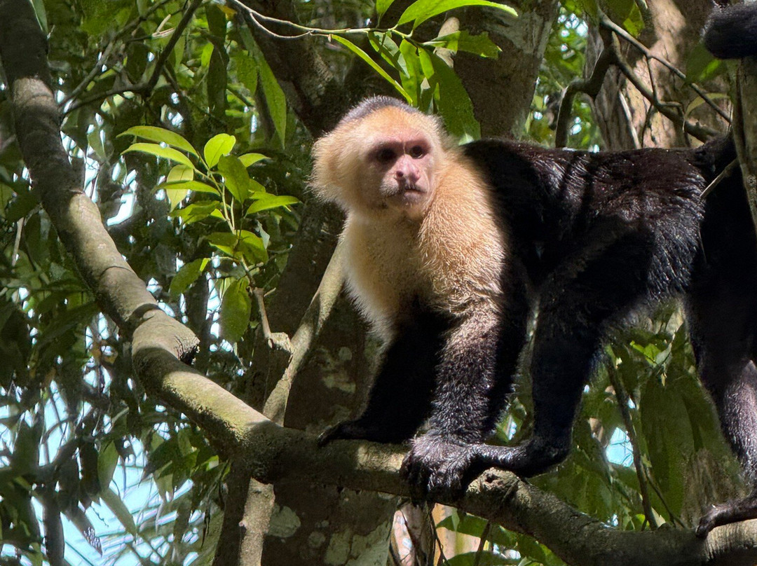 WAKING DREAMS COSTA RICA-圣何塞必去景点