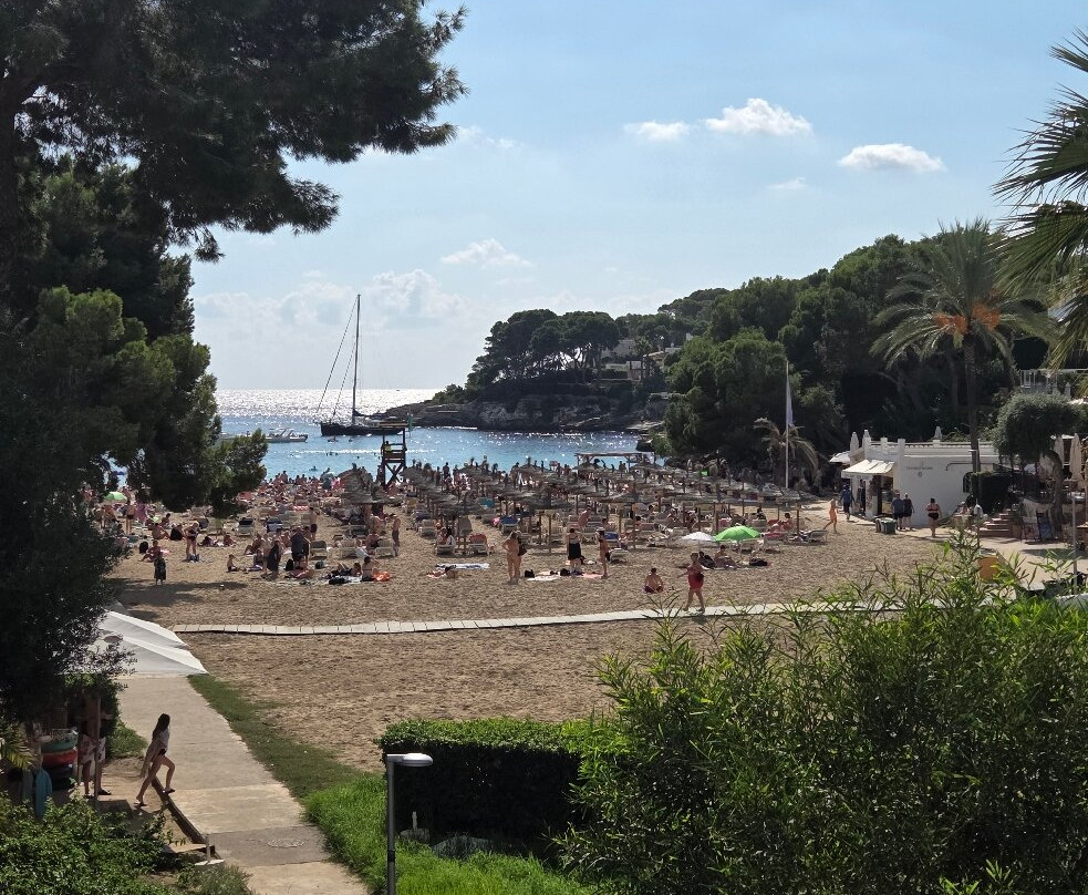 Playa Cala Gran-卡拉多尔必去景点