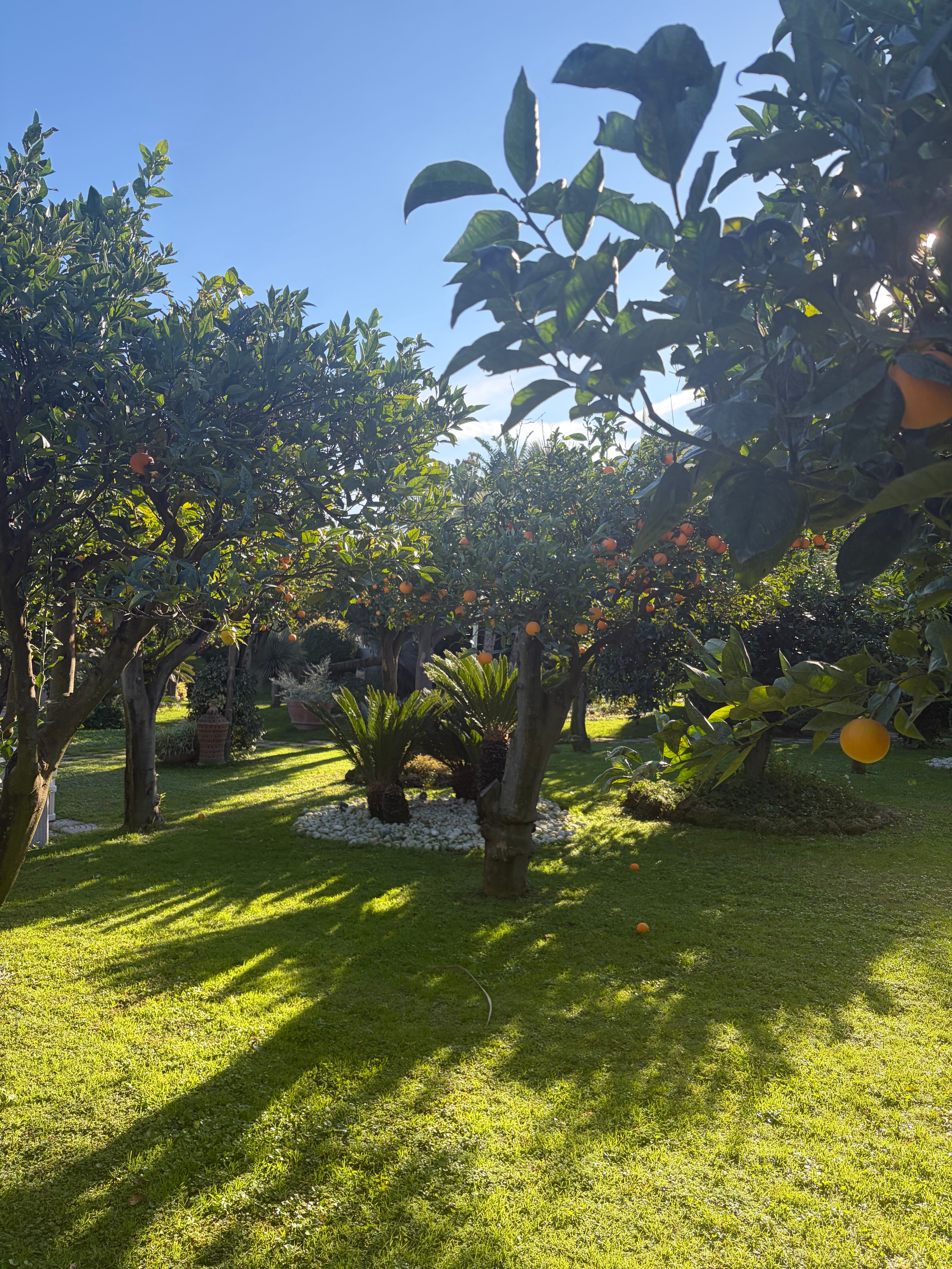 La Medusa Hotel - Dimora di Charme-官方