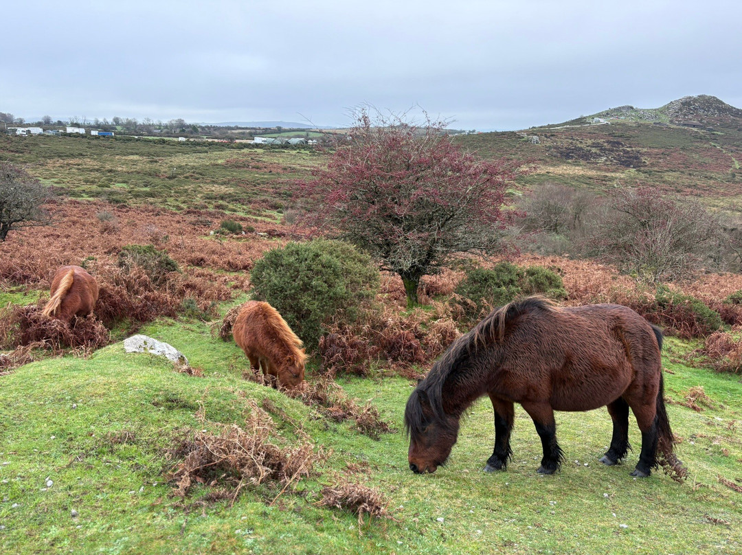 Ashburton Court Guest House主图