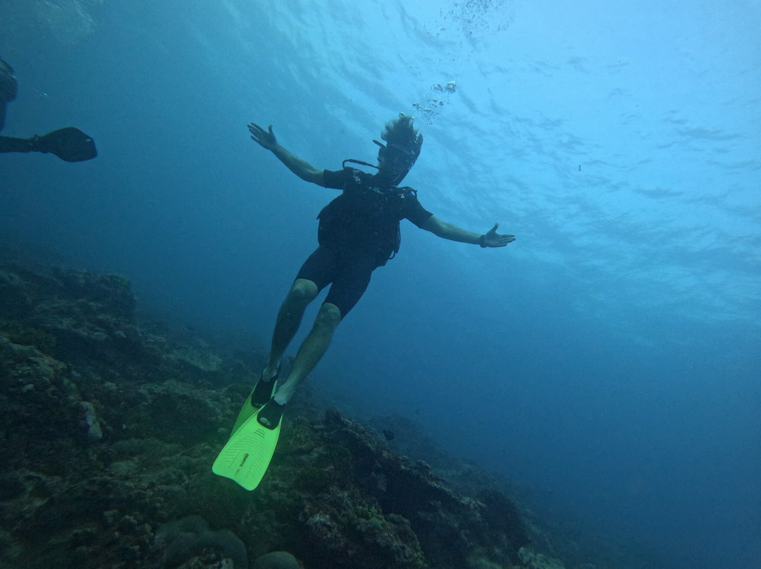 Buccaneer Diving-帕杰必去景点