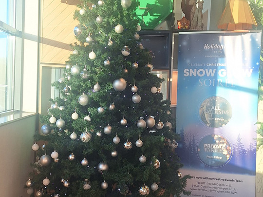 假日伯明翰机场酒店主图