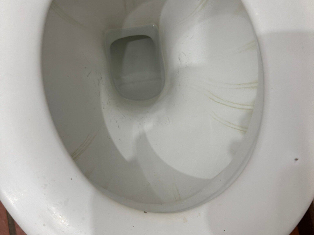 Tzaneen Country Lodge主图