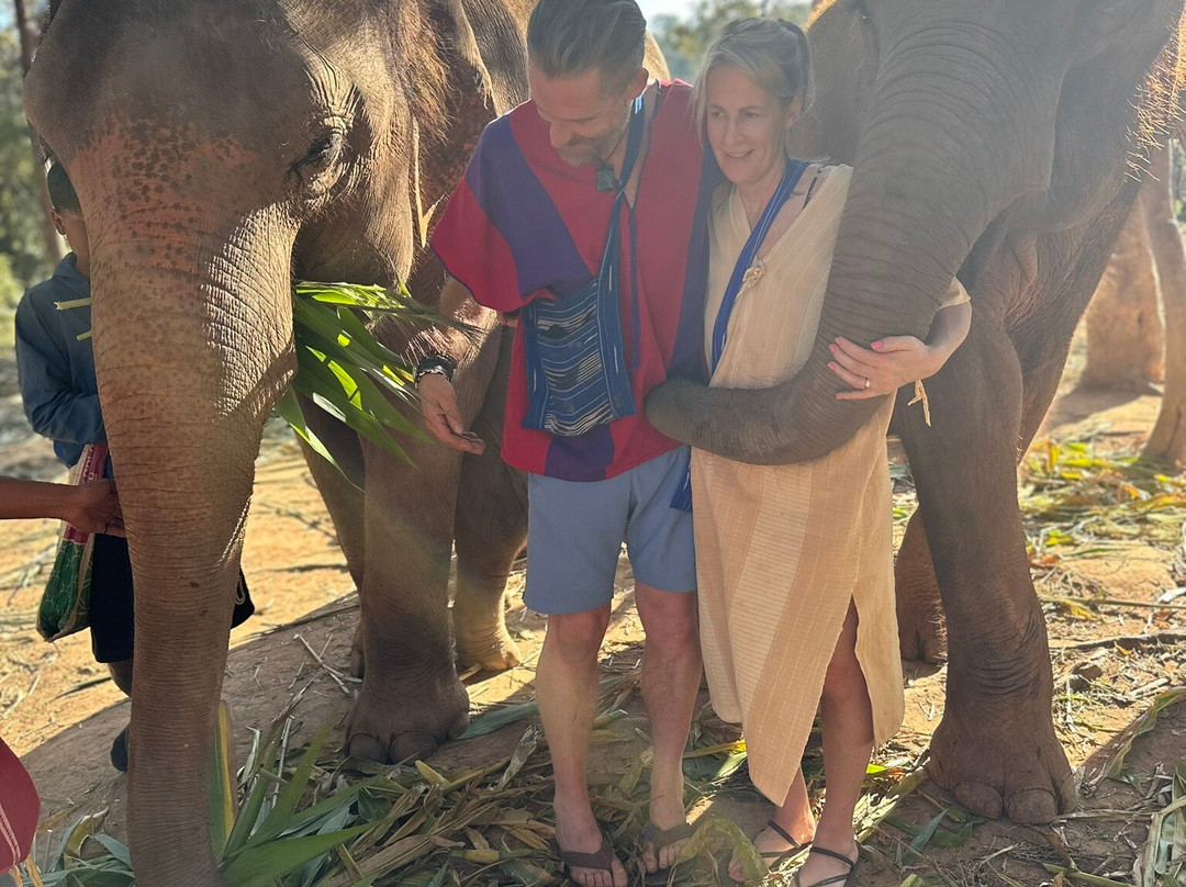Elephant Freedom Village-清迈必去景点