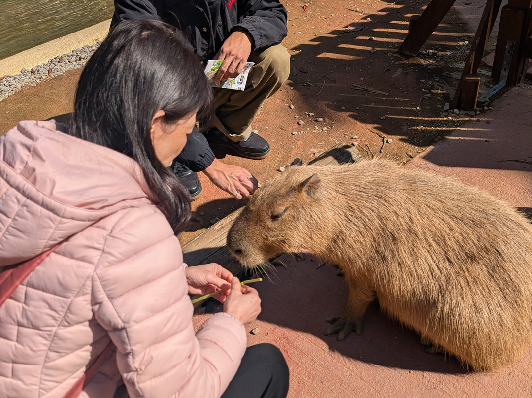 东南植物乐园-冲绳市必去景点
