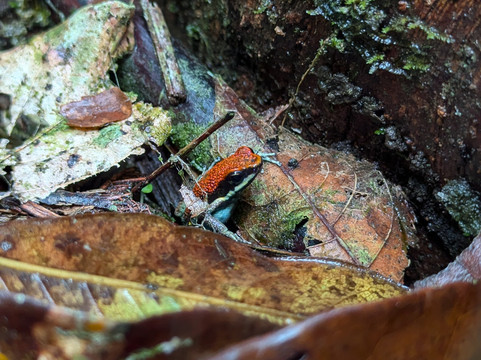 Terra Sur Travels-基多必去景点