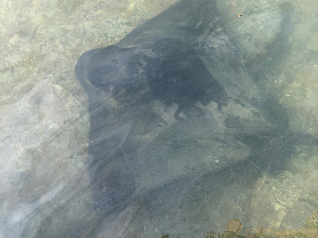 Dive Tatapouri-Gisborne Region必去景点