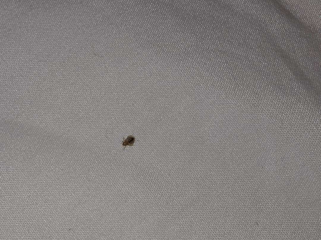 Fairfield by Marriott Inn & Suites Slippery Rock主图