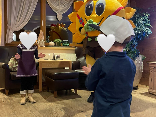 Hotel Dreisonnen主图