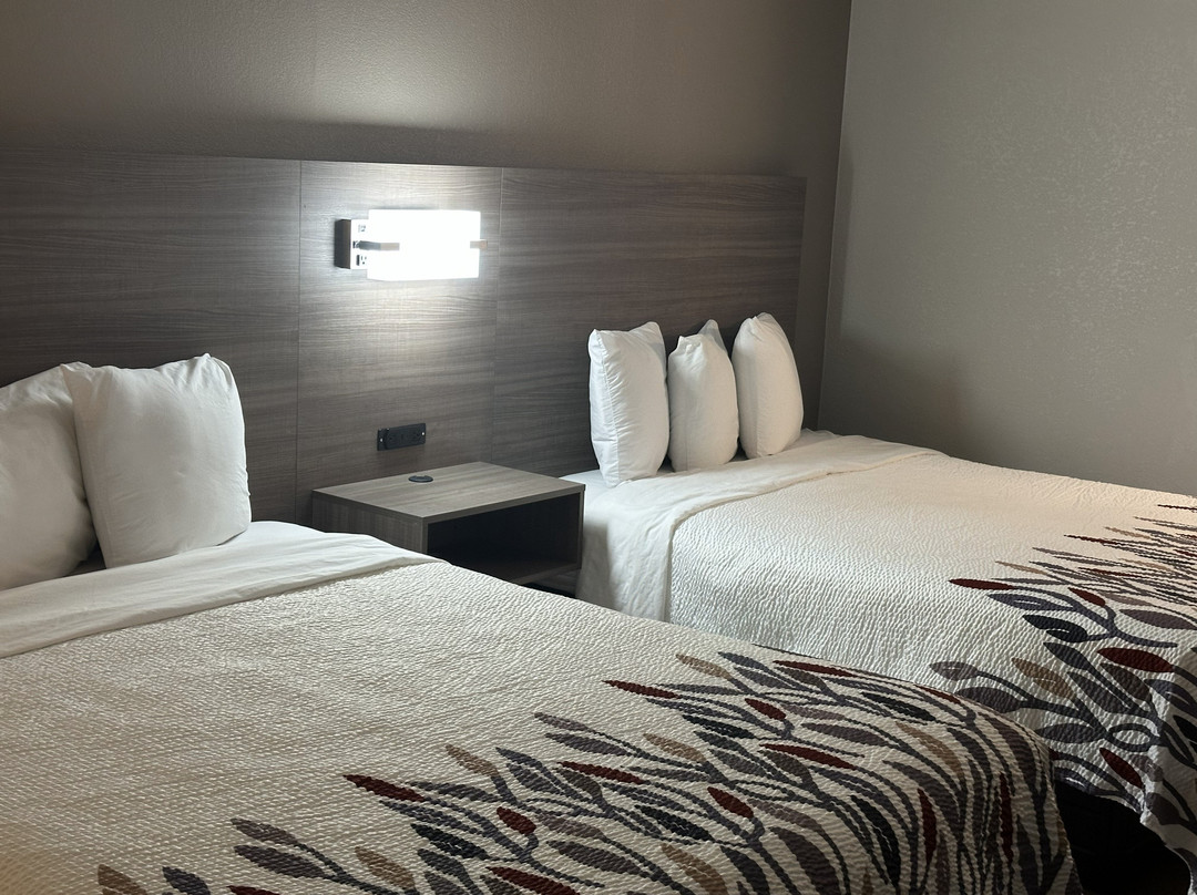 Red Roof Inn & Suites Middleborough主图