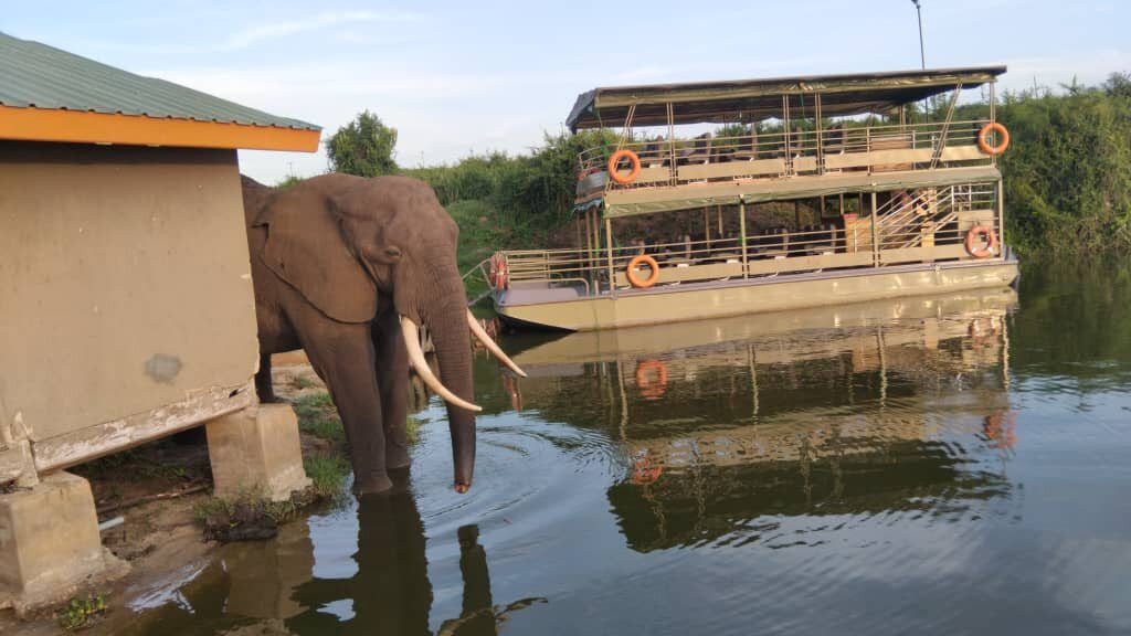 Big Lion Trails Safaris-坎帕拉必去景点