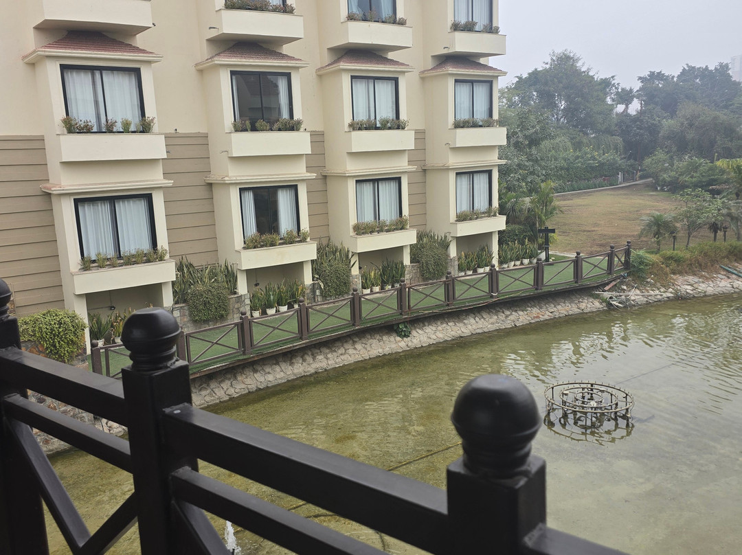 The Stellar Gymkhana主图