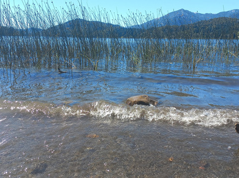 Parque Municipal Llao Llao-圣卡洛斯-德巴里洛切必去景点