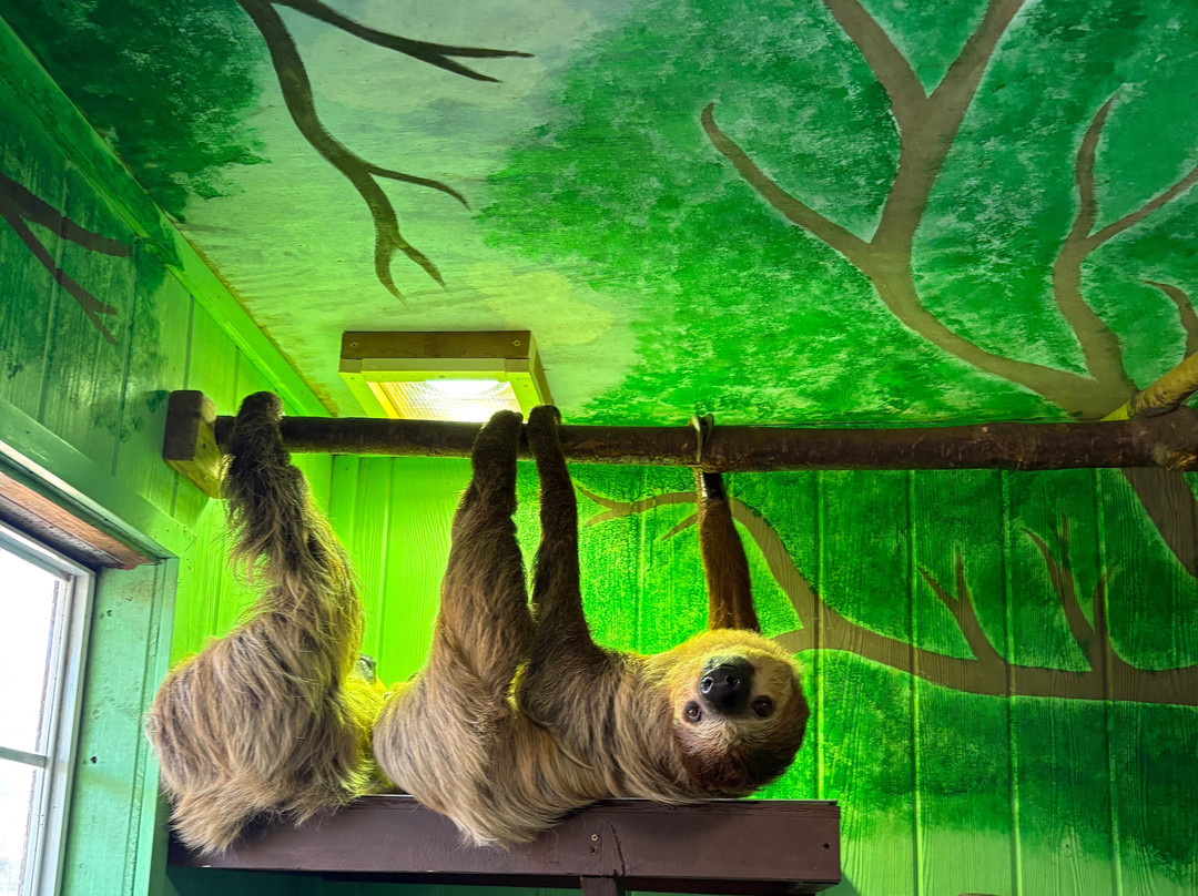 North Georgia Wildlife Park-Cleveland必去景点