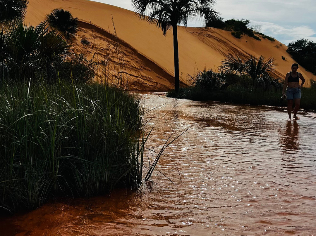Cerrado Rupestre-Palmas必去景点