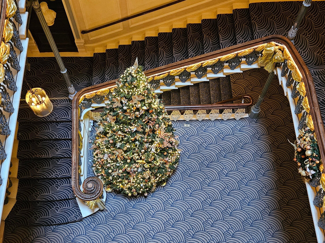 大布莱顿狄维亚宾馆主图