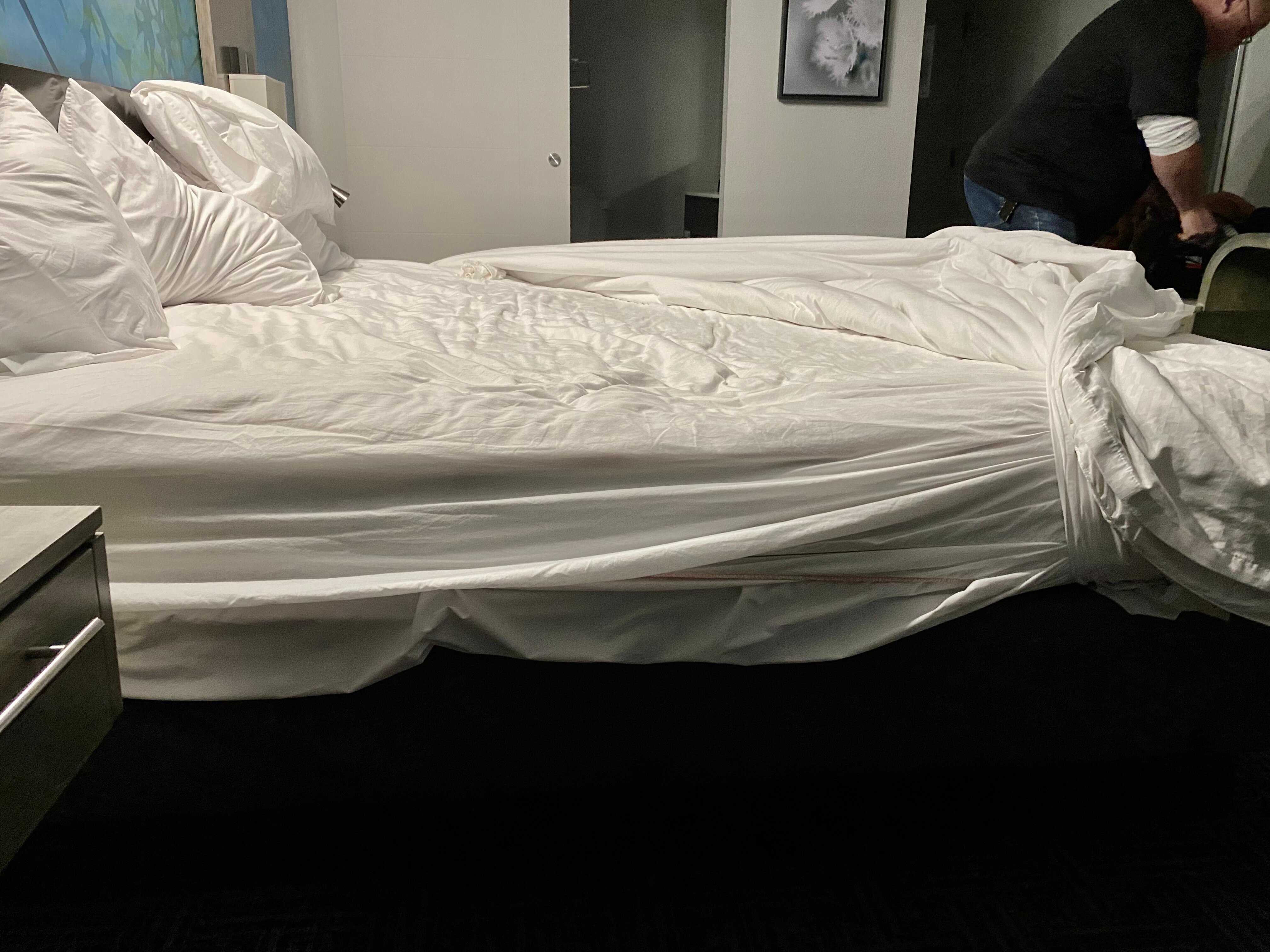 Wingate by Wyndham Goodlettsville-客卧