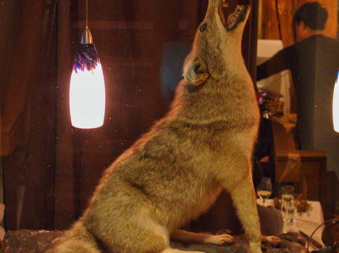 普利米尔国家博物馆酒店主图