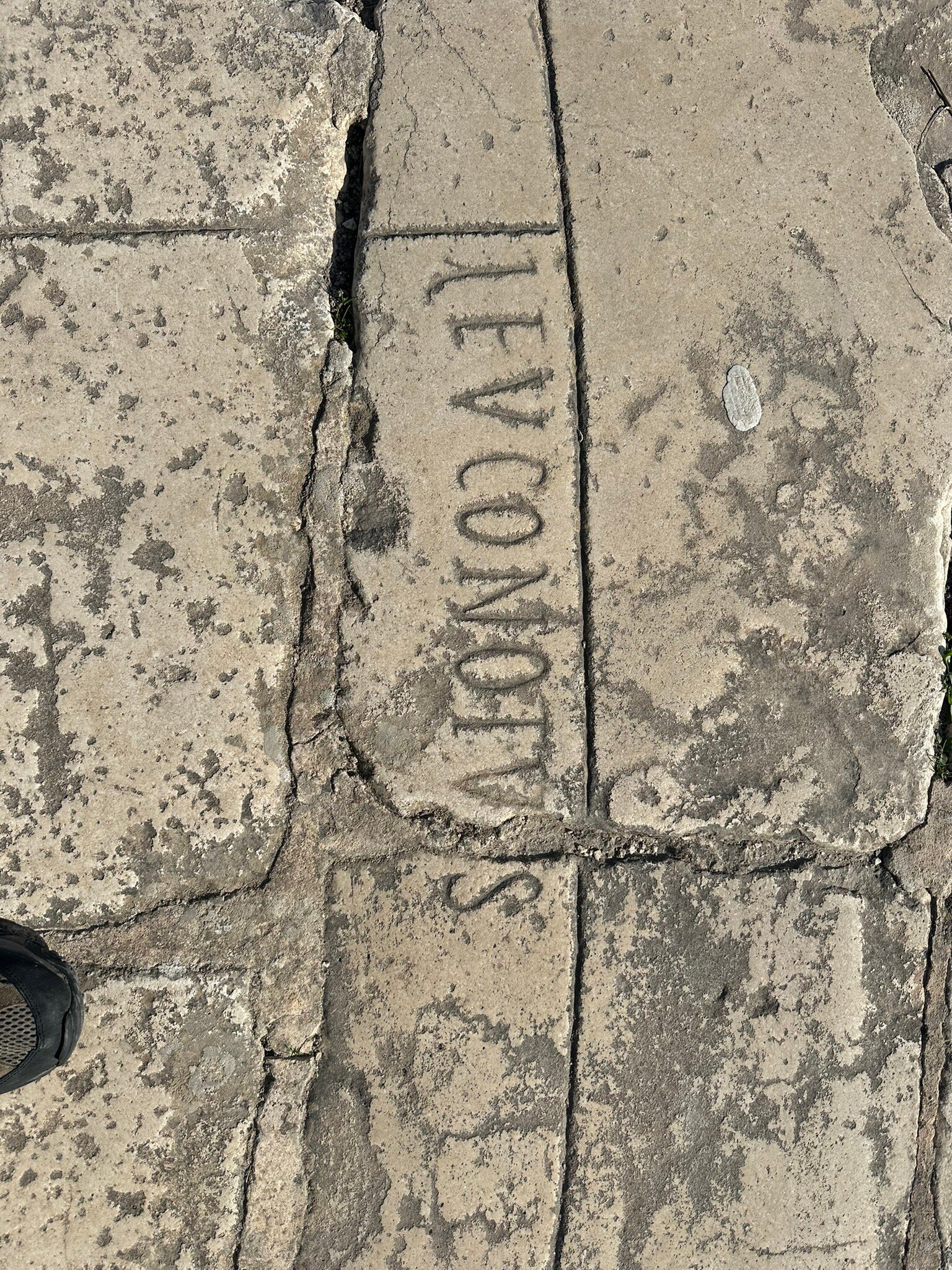 Verger des Montagnes-官方