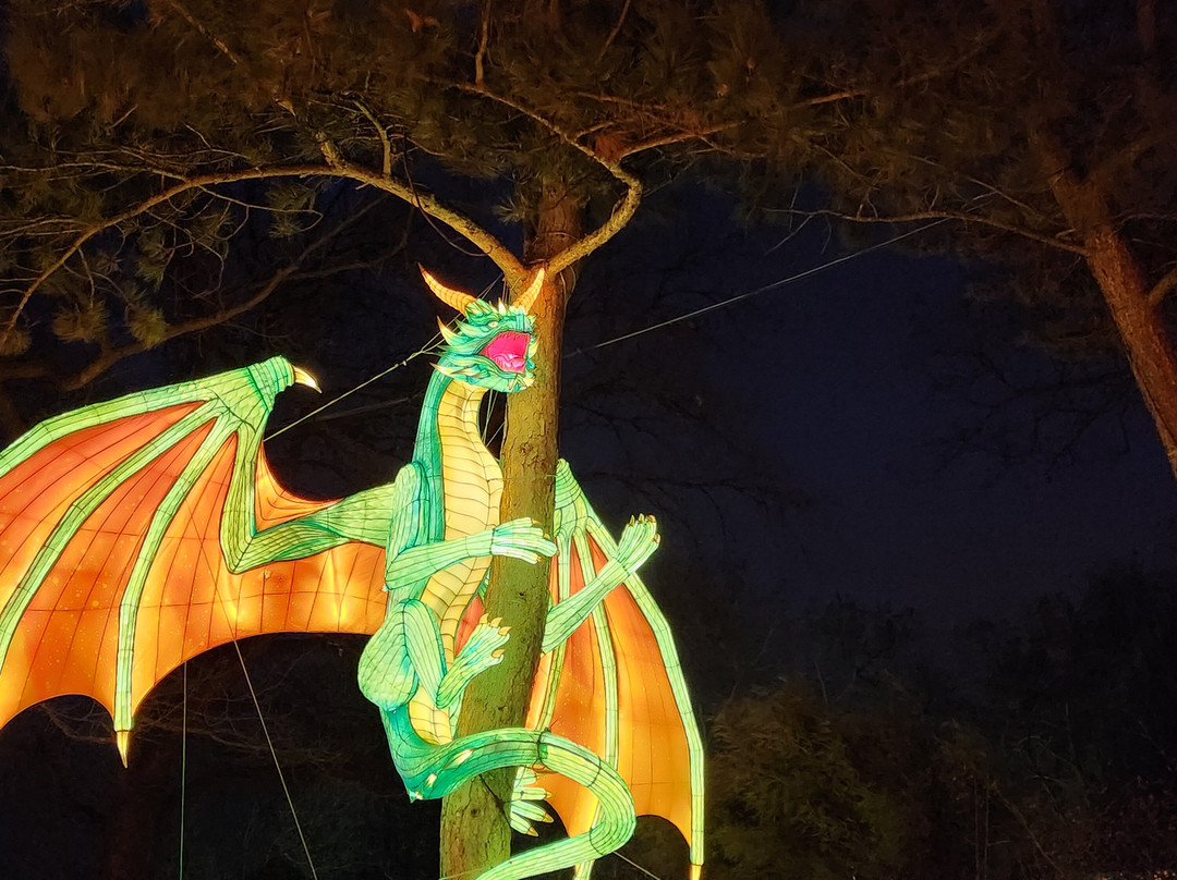 Zoo Halle (Mountain Zoo)-哈雷必去景点