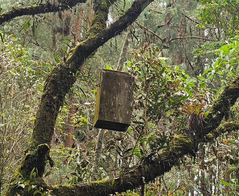 Rogitama Biodiversidad-Arcabuco必去景点