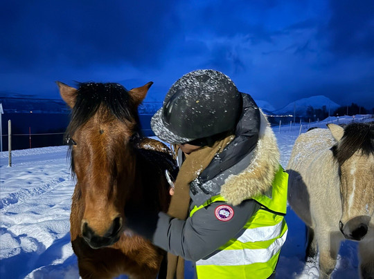 Tromsø Lyngshest-特罗姆瑟必去景点