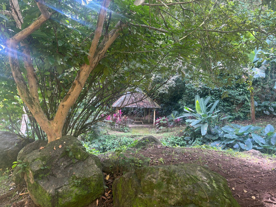 Banana Museum (Le Musee de la Banane)-马提尼克必去景点