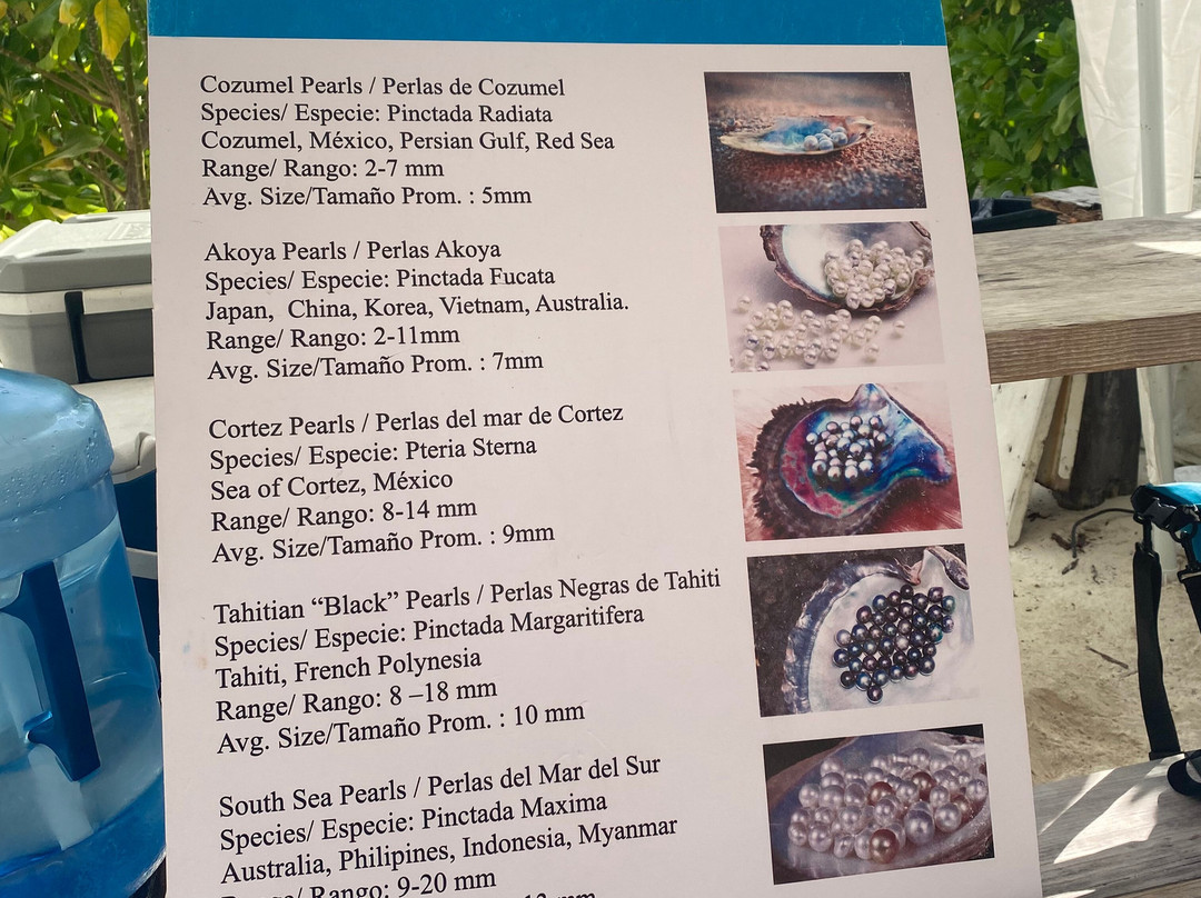 Cozumel Pearl Farm-考祖梅必去景点