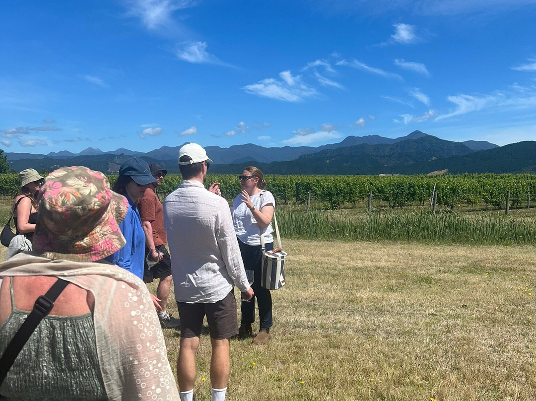 Bladen Wines-伦威克必去景点