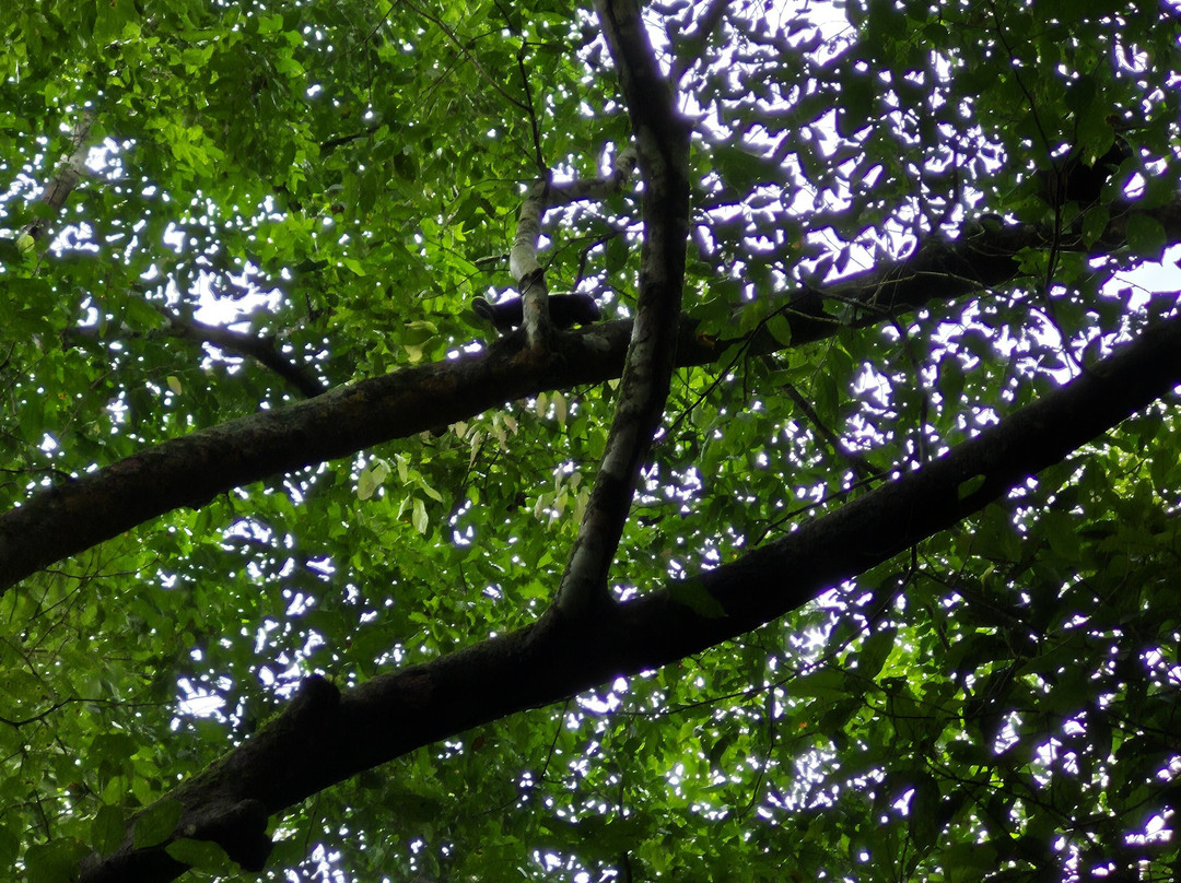 Reserva Natural El Cielo-Capurgana必去景点