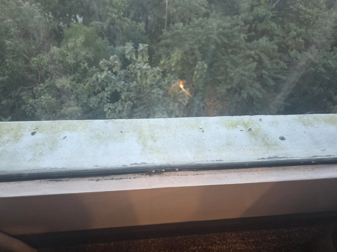 Grand Sylhet Hotel & Resort主图