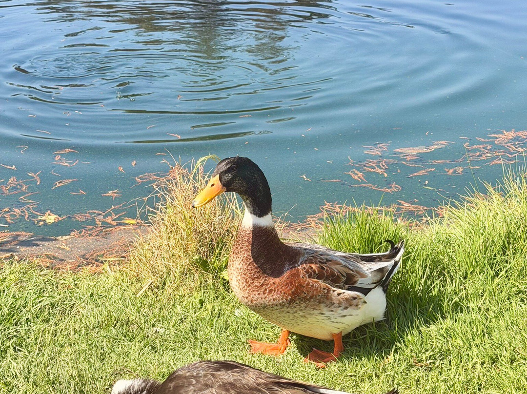 Ex-Hacienda de Chautla-San Martin Texmelucan de Labastida必去景点