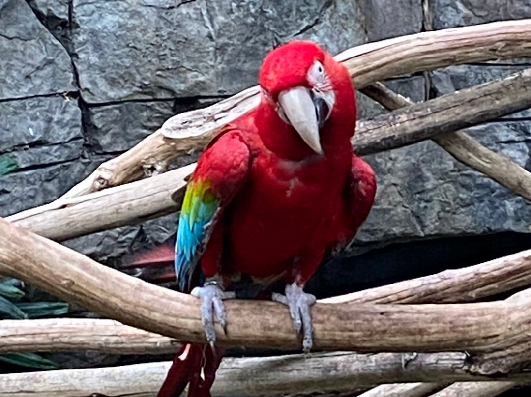 Louisville Zoo-路易斯维尔必去景点