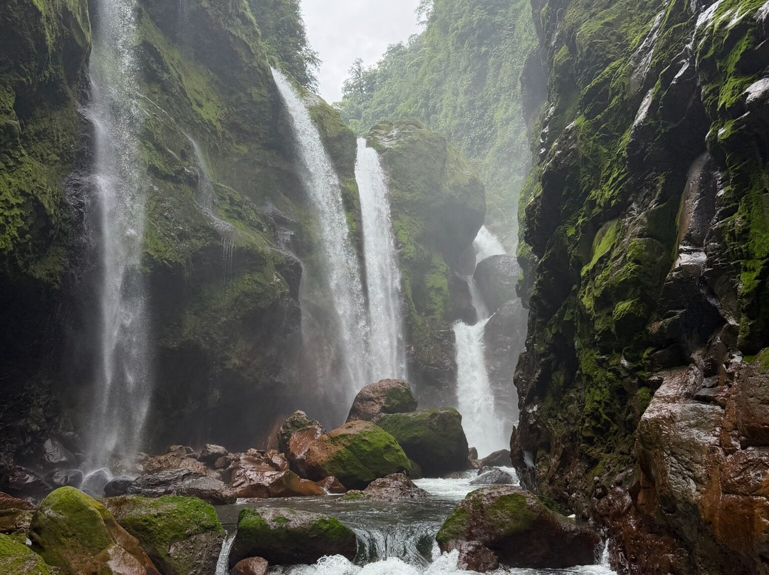 Ecotours Toro Amarillo 360-Bajos del Toro必去景点