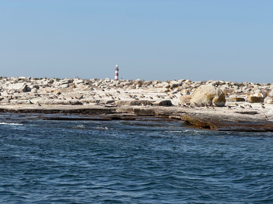 Yzerfontein Sea Sport-Yzerfontein必去景点