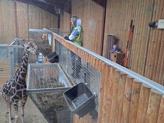 Wingham Wildlife Park-Wingham必去景点