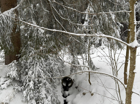 Pension & Fewo´s Talblick主图