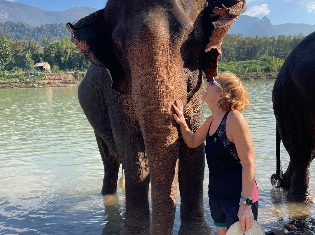 Elephant Village Sanctuary & Resort-琅勃拉邦必去景点