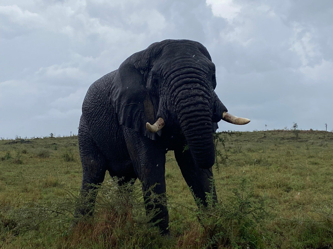 Tansania Reiseabenteuer SDL GmbH-柏林必去景点