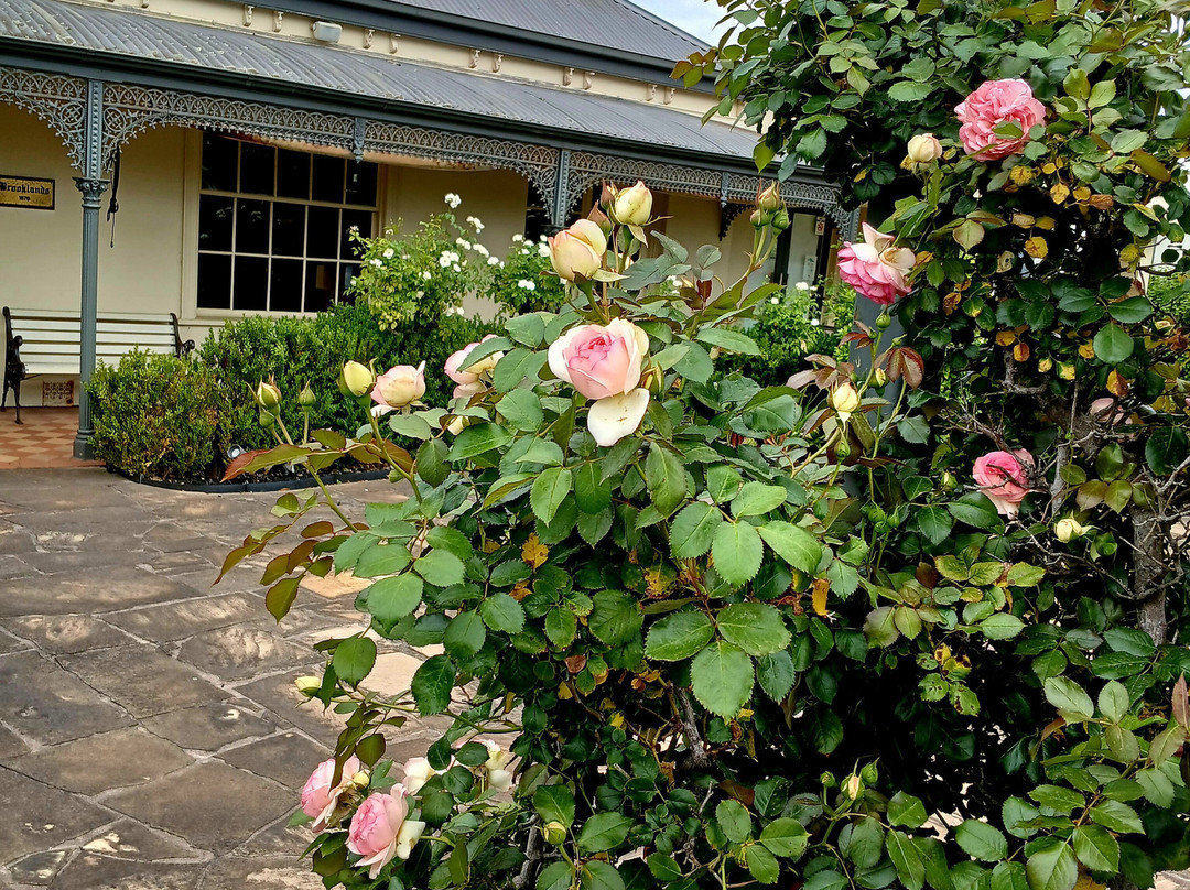 莫宁顿布鲁克兰酒店主图