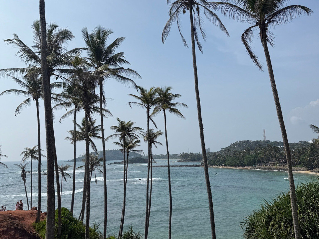 Drivers in Sri Lanka-科伦坡必去景点